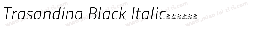 Trasandina Black Italic字体转换